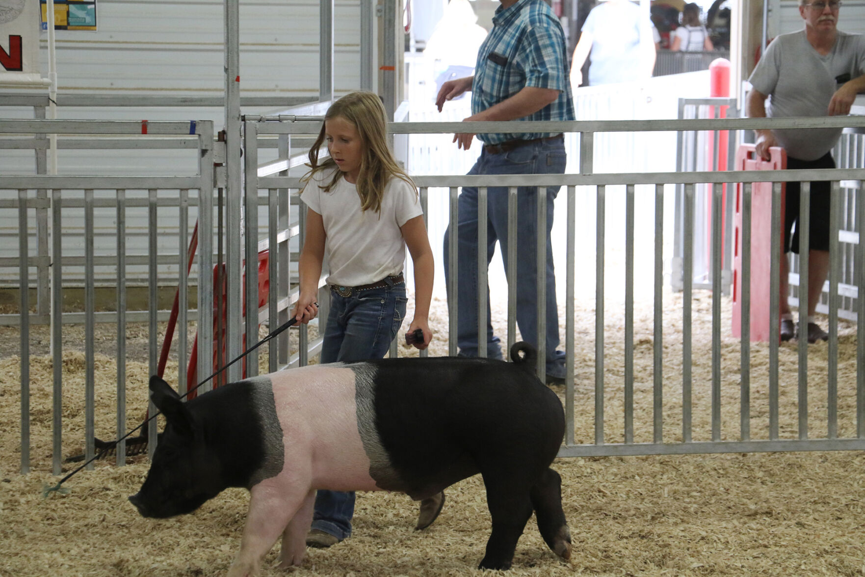 PHOTOS: Pig Showmanship